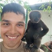 Clases de inglés niveles para niveles básicos e intermedios