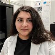 Estudiante de Doctorado en Química ofrece clases particulares de Química para alumnos de nivel básico, medio y universitario