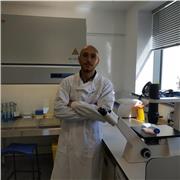Raffaele Marroccella