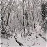 English and Portuguese Teacher with Italian,   and some Spanish and French.