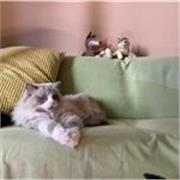 let’s go! it’s high time talk some english!