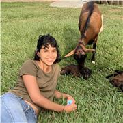 Clases de dibujo y pintura, diferentes técnicas para todas las edades