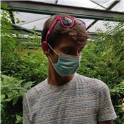 Raphaël