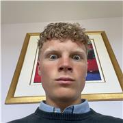 Maths tutor providing lessons to A-level and GCSE students