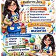 Clases online y presencial. Lenguaje, historia, ciencias