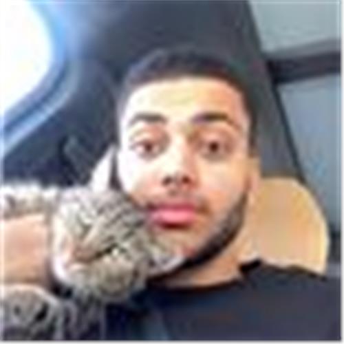user photo