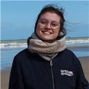 Cours de soutien scolaire en anglais, professeur bilingue