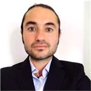 Profesor de Historia, Castellano, y Actualidad