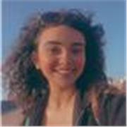 Teaching GCSE English and A level English up remotely (online)