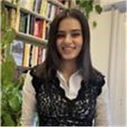 Native English Mentor: From Professional Fluency to Fun Classroom Basics