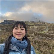 Mathe Nachhilfe mit Fokus auf Festigung der Grundlagen