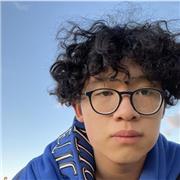 Maths tutor providing tutorials to GCSE maths and further maths and A level maths