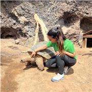 Puedo enseñar biología y soy apta para dar clases a niños de primaria y eso.