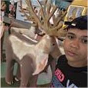 Professor de reforço escolar com experiência presencial, migrando para o digital