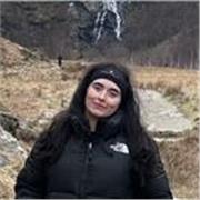 History Tutor KS3-5, AQA examiner and strong cross humanities knowledge