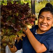 Profesora de agroecología ofrece clases en línea de huertos, ecología, biología y agronomía. Las clases serán divertidas y muy interesantes y lo mejor de todo, es que cualquier persona puede tomarlas