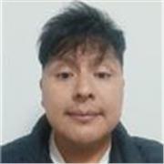 Profesor de matemática para el nivel secundario y superior