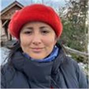 Profesional de marketing con más de 10 años de experiencia, dicto clases online.