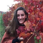 Docente di Chimica Organica e Inorganica, impartisco lezioni a studenti universitari, liceali e delle medie