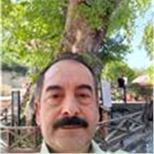 Ali Timur