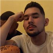 Profe de inglés para alumnos de primaria o secundaria