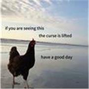 Insegnante con esperienza! Si può sempre imparare e migliorare 