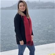 Professeur anglais tous les niveaux