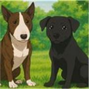 Profesora de economía prepara alumnos de diversos niveles y materias