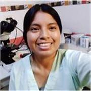 Profesor que imparte clases a niños de 5 años hasta 2do de secundaria