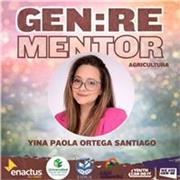 Clases particulares virtuales sobre la enseñanza y manejo de los numeros en las matematicas basicas y aplicadas