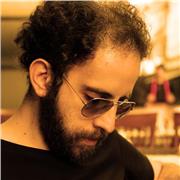 I'm a professional musician who plays guitar, piano and can sing also.