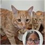 Profesor de ingles nativo con experiencia en niños y adolescentes, aprenderán desde un nivel inicial o básico hasta conversaciones