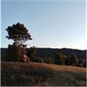 Clases online de ciencias ambientales (Biología, Física) Para educación básica o media