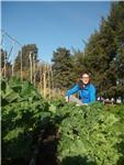 Jardinería y Huerta sostenible, sin utilización de productos de síntesis químicas, respetando los procesos naturales