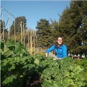 Jardinería y Huerta sostenible, sin utilización de productos de síntesis químicas, respetando los procesos naturales