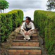 Apoyo específico e intensivo a clases de artes visuales