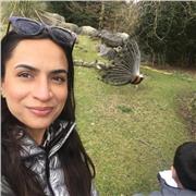 Maham