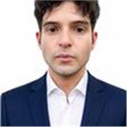 Docente en idiomas, psicología y áreas científico-matemáticas
