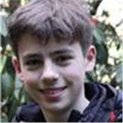 GCSE English A* student offering all-ability tutoring, guaranteed success
