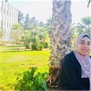 I give affordable online Arabic lessons