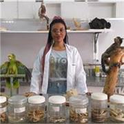 AULAS ONLINE DE BIOLOGIA COM METODOLOGIAS ÚNICAS