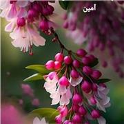 Bisma Haider