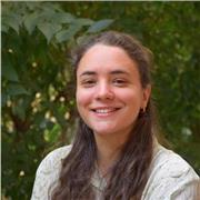 Dottoranda in Matematica offre ripetizioni in Matematica e Fisica con esperienza pregressa di insegnamento privato