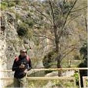 Docente di lingua Inglese