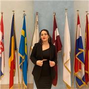 Offro ripetizioni di inglese ma anche altre lingue da elementari a liceo, preferibilmente online