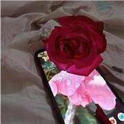 Dr Syeda