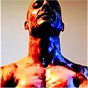 Entrenador Personal, gimnasio, work out y Calistenia, Terapeuta Manual, Profesor de Deportes de Contacto y Defensa Personal