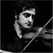 Online Violin lesson in Tufnell Park area