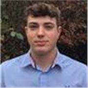 English tutor providing lessons to children 5-11 years old
