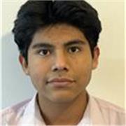 Private Maths/Spanish lessons tailored to the pupil’s exam board for GCSE/A Level